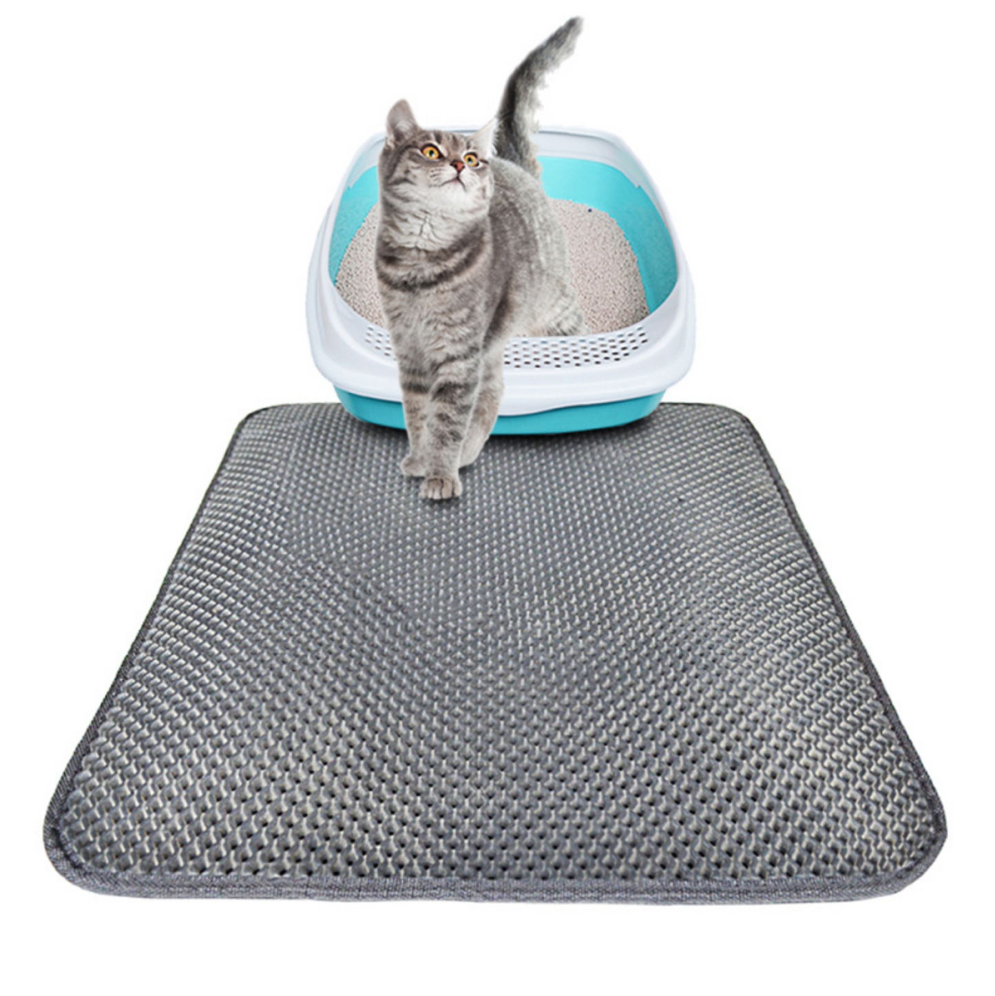 Double Layer Litter mat