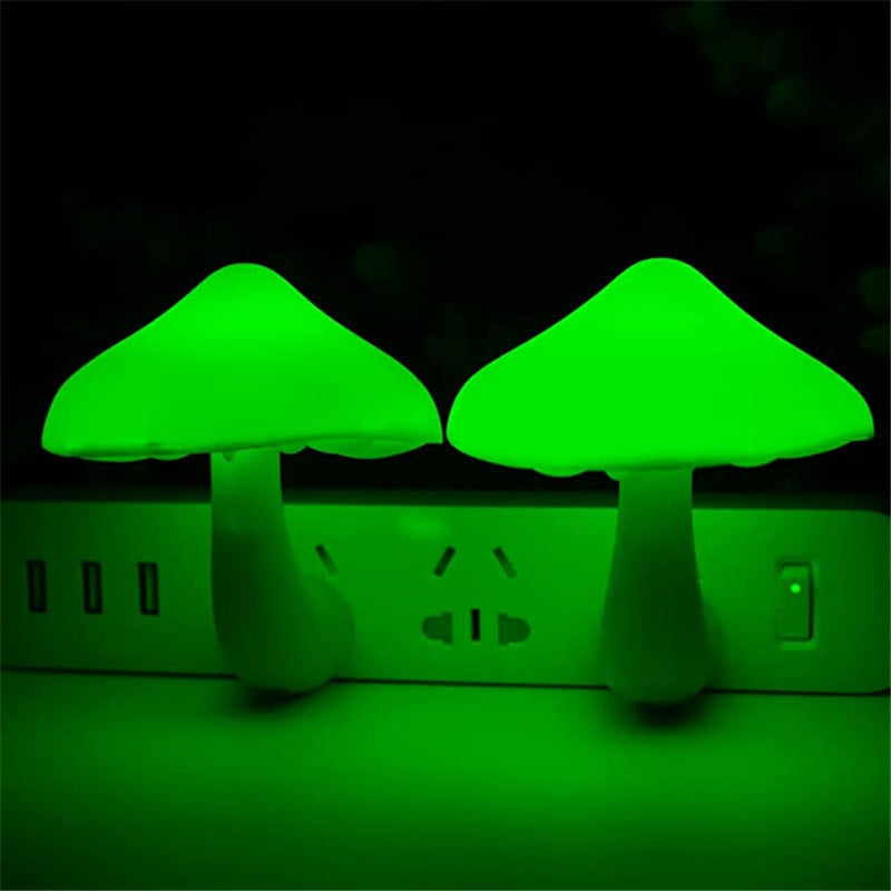 LED Night Light