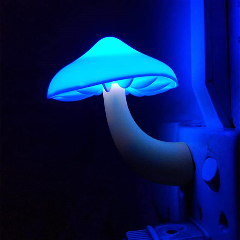 LED Night Light